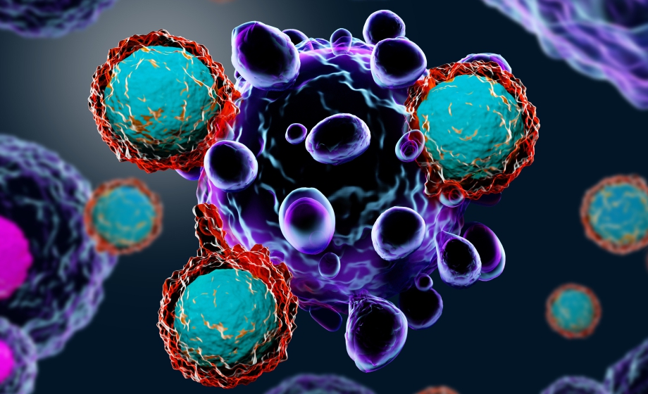 Current and Novel Immuno-Oncology Drug Evaluation Methods via Humanised Mouse Models