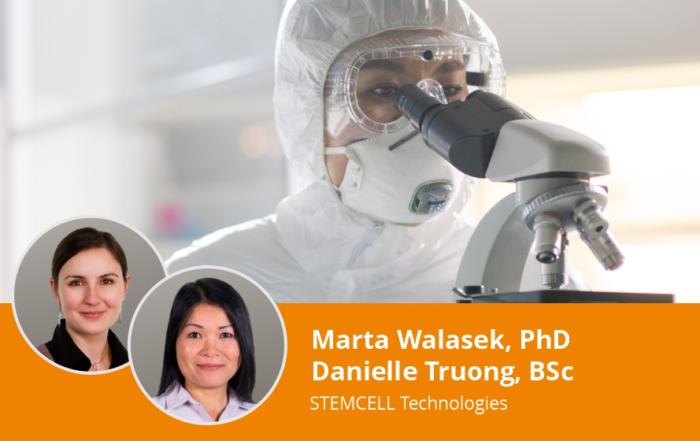 Optimizing CD34+ Cell Genome Editing for Efficiency and HSPC Maintenance