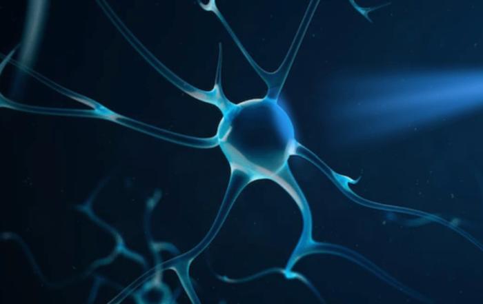 Optogenetic Stimulation for Parkinson’s Research: Recovering Movement in an Animal Model