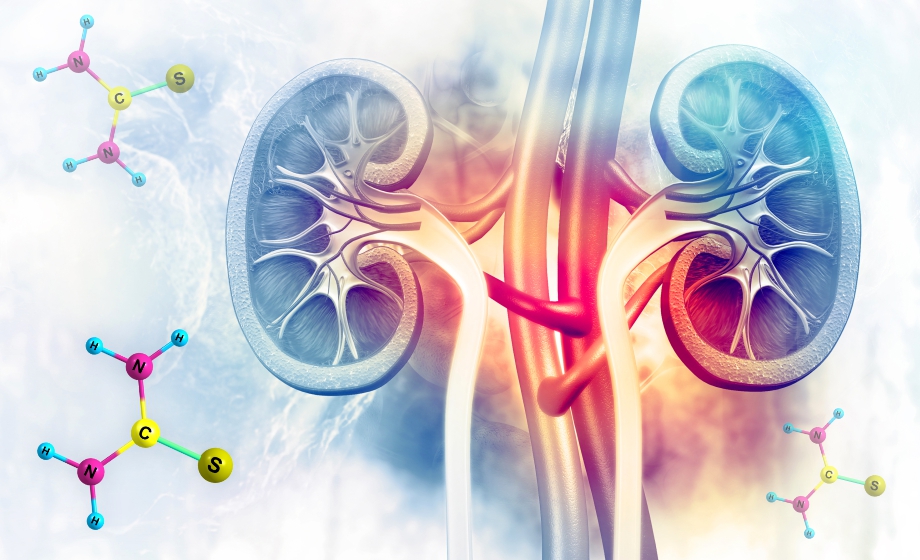 A Novel Approach to Removing Urea from Dialysate