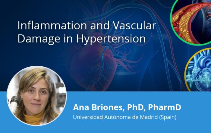Inflammation and Vascular Damage in Hypertension