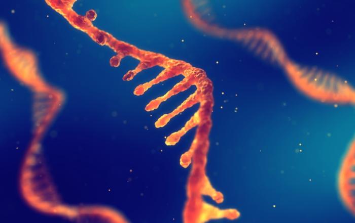 Integration of the HTG Transcriptome Panel into Preclinical and Clinical Programs to Drive Precision Medicine Research