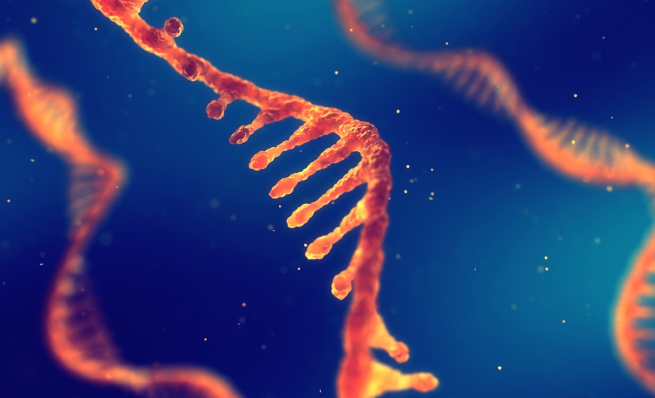 Integration of the HTG Transcriptome Panel into Preclinical and Clinical Programs to Drive Precision Medicine Research