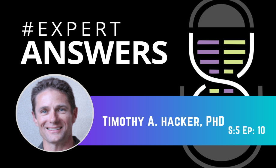 #ExpertAnswers: Tim Hacker on Models of Cardiovascular Disease in Rodents