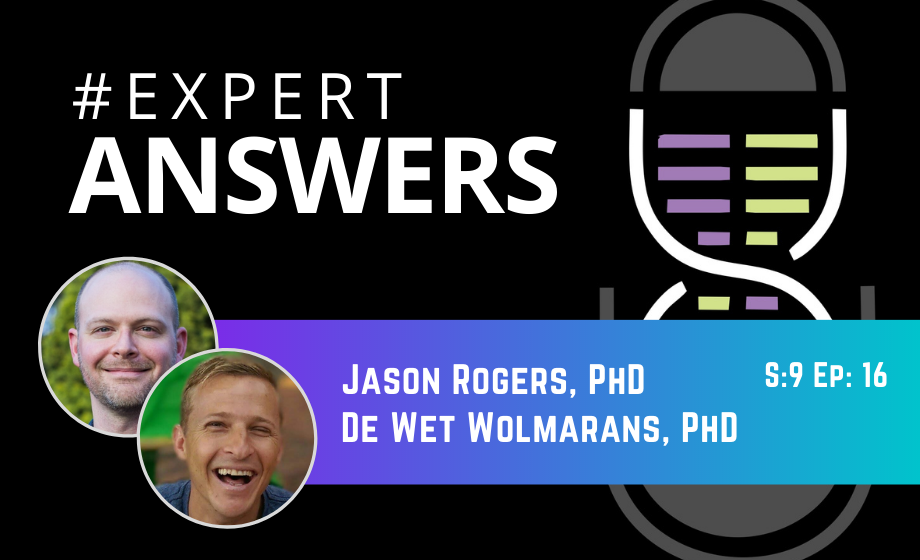 #ExpertAnswers: Jason Rogers and De Wet Wolmarans on Rodent Behavior Models