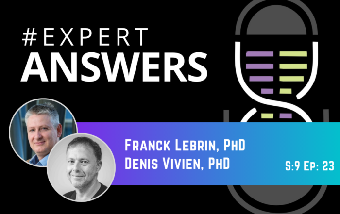 #ExpertAnswers: Franck Lebrin and Denis Vivien on Ultrasound Imaging in Stroke and Neurovascular Diseases