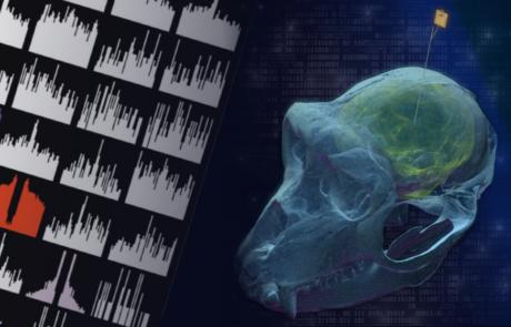 Using High-Density Electrophysiological Recordings to Investigate Neural Mechanisms in Small and Large Animals