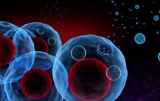 Exosome secretion from cells