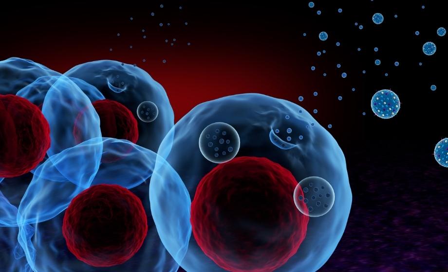 Exosome secretion from cells