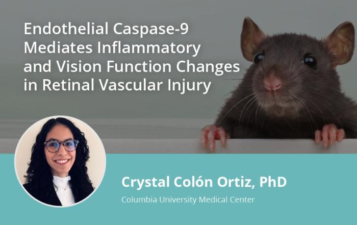 Endothelial Caspase-9 Mediates Inflammatory and Vision Function Changes in Retinal Vascular Injury