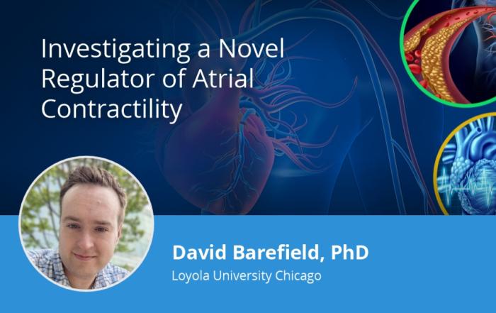 Investigating a Novel Regulator of Atrial Contractility