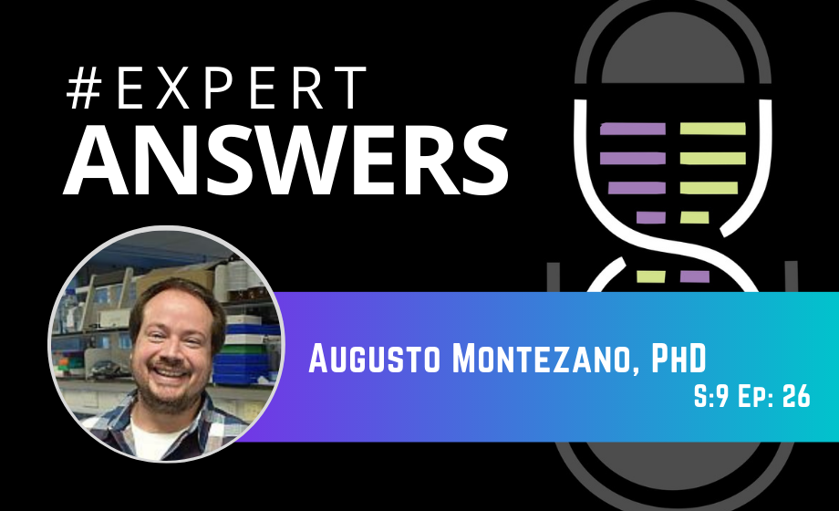 #ExpertAnswers: Guto Montezano on COVID-19 and the Endothelium