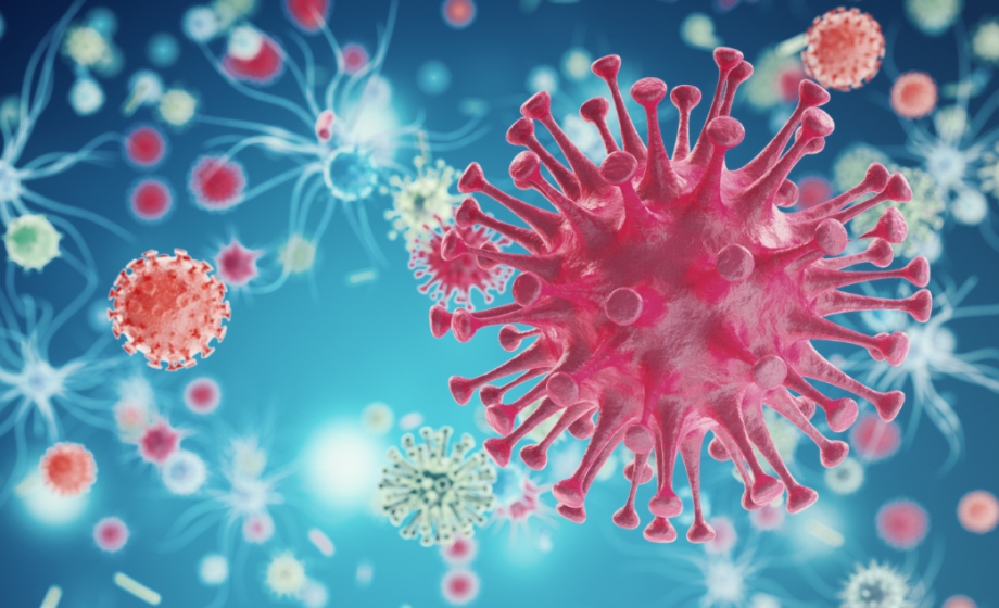 An Introduction to Infectious Disease Modeling