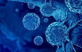 Cancer cells