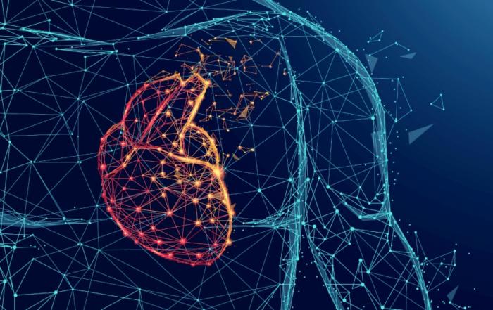 Next-Generation Techniques for Understanding Neural Hemodynamic Control