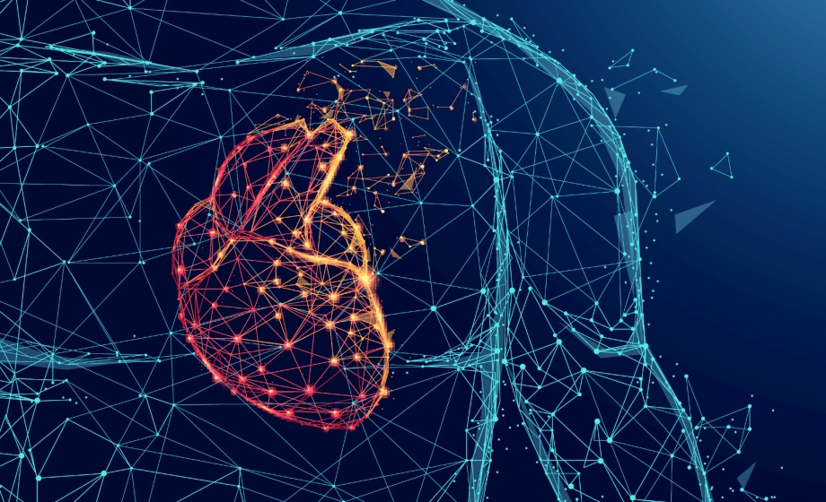 Next-Generation Techniques for Understanding Neural Hemodynamic Control