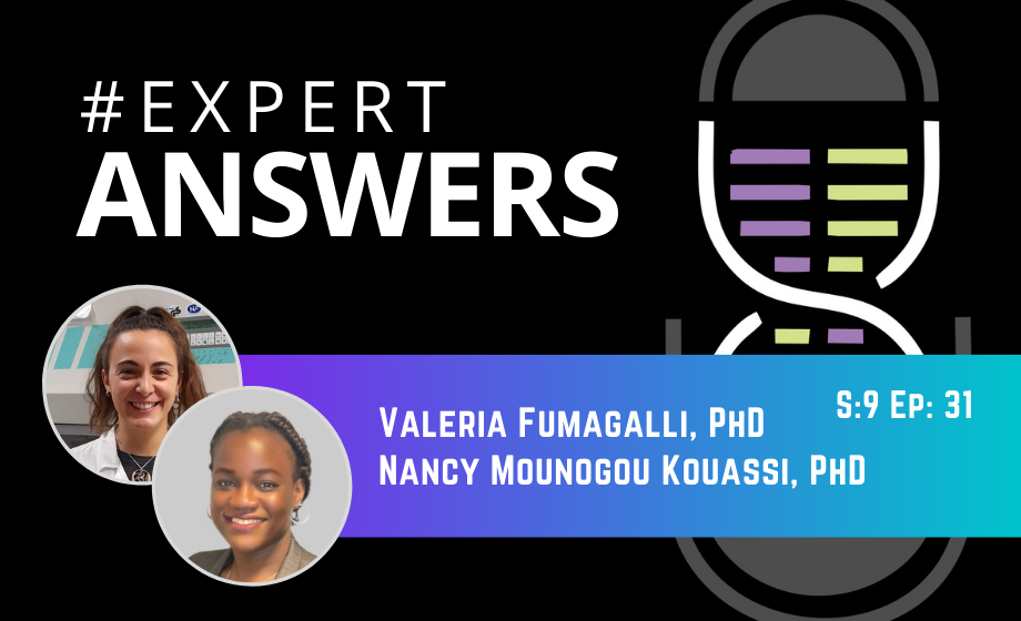#ExpertAnswers: Valeria Fumagalli and Nancy Kouassi on the Syrian golden hamster model of COVID-19