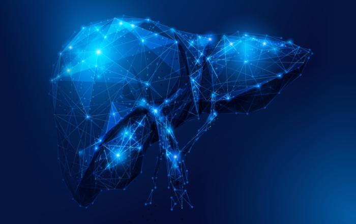 Are In Vitro Metabolism and Drug-Drug Interaction Studies Critical for an Investigational New Drug Application?