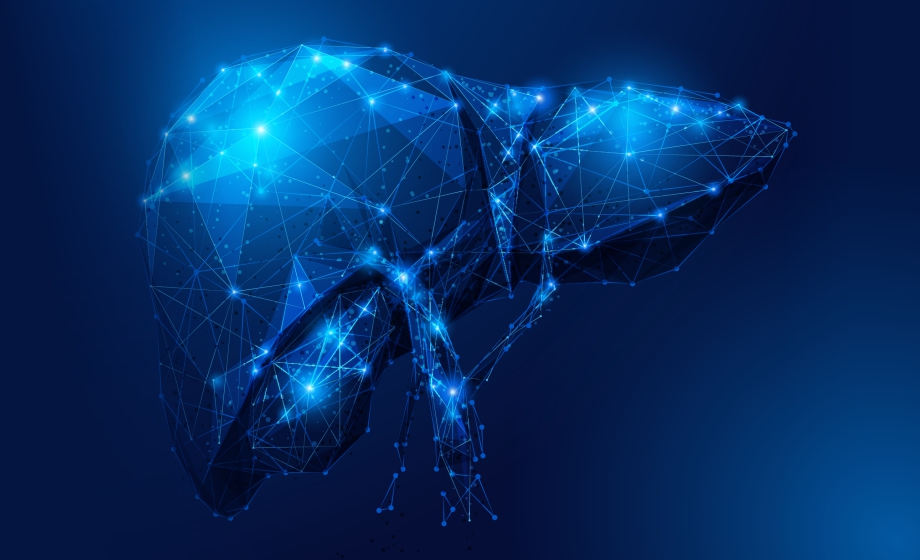 Are in vitro metabolism and drug-drug interaction studies critical for an investigational new drug application_FI