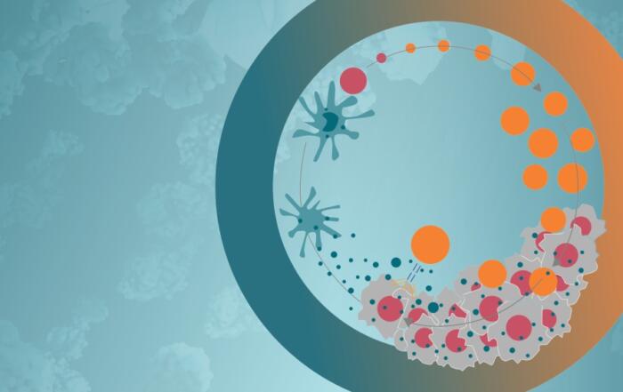 The Cancer-Immunity Cycle: Research Solutions for Preclinical Immuno-Oncology