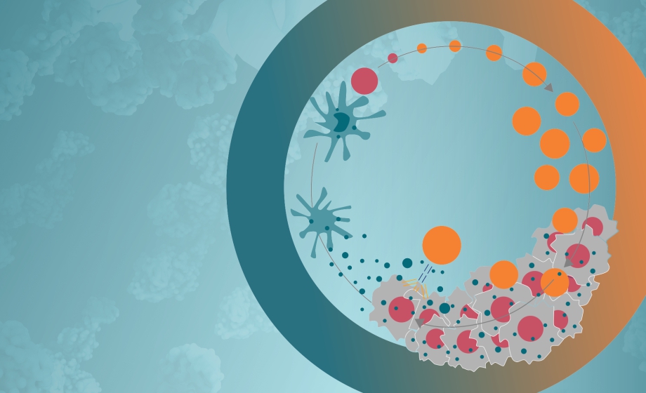 CrownBio Cancer-Immunity Cycle Blog FI