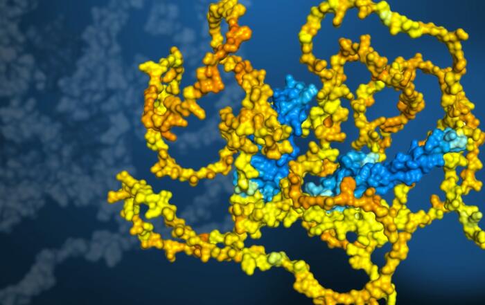 Exploring Oligomerization and Stoichiometry of Protein Complexes with MALS: Case Studies from Phage-Bacteria Conflict