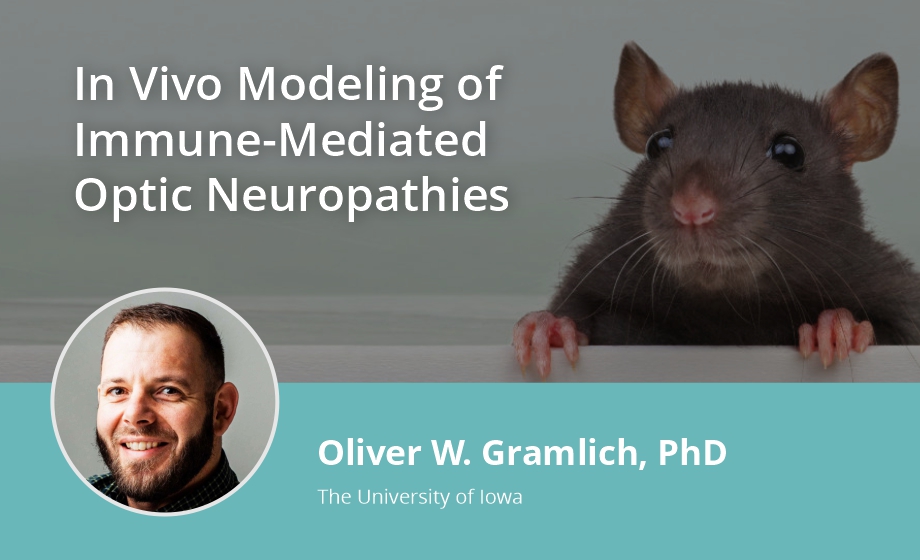 In Vivo Modeling of Immune-mediated Optic Neuropathies