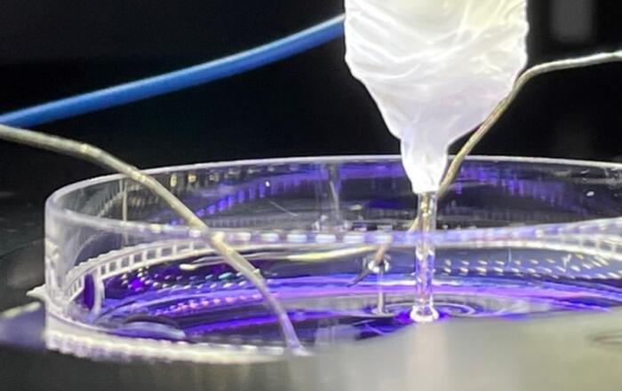 Molecule Transport across Cell Membranes: Electrochemical Quantification at the Microscale