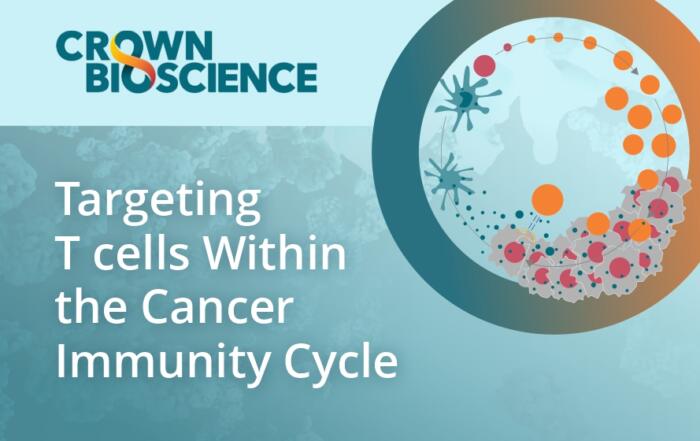 Targeting T Cells Within the Cancer Immunity Cycle