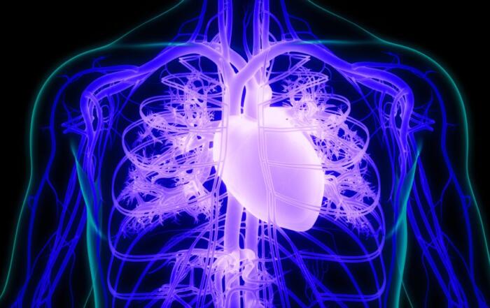 APS Physiology in Disease Modeling and Drug Development Roundtable