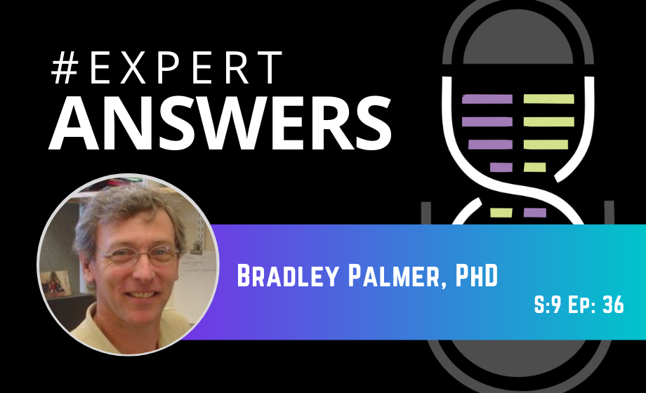 #ExpertAnswers: Bradley Palmer on Measuring Cardiac Tissue