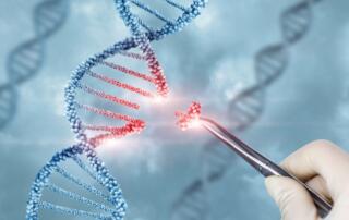In vivo gene therapy using peptide based delivery FI