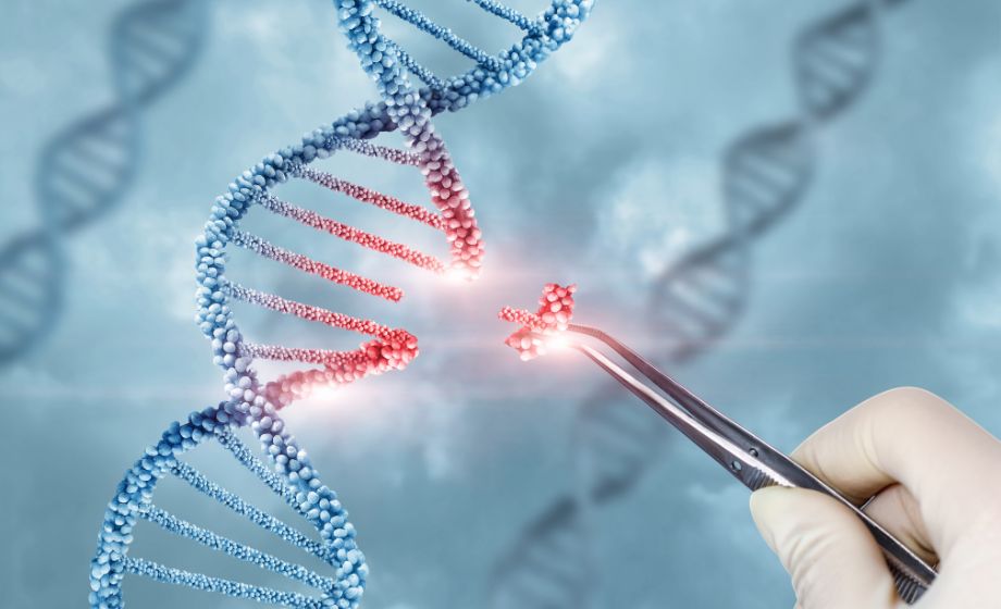 In vivo gene therapy using peptide based delivery FI