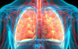 Lung toxicity and respiratory effects of particulate matter from firearms FI