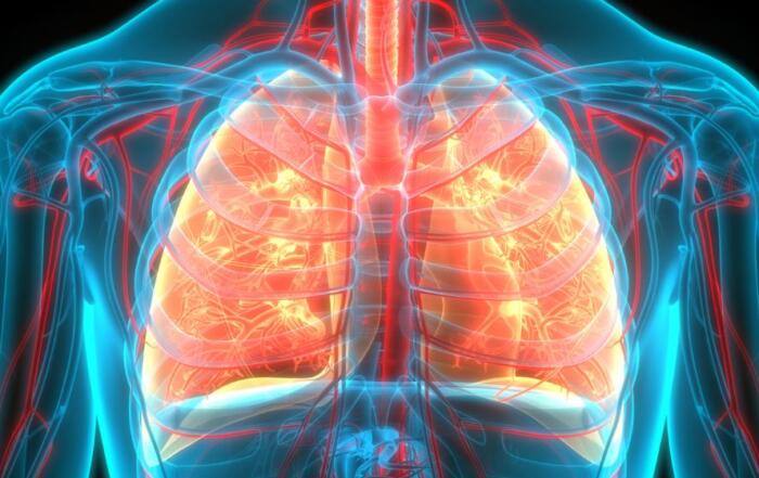 Particulate Matter from Firearms: Lung Toxicity and Respiratory Effects