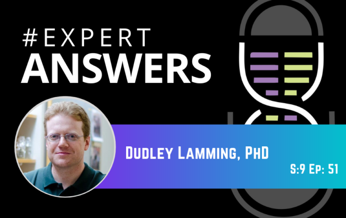 #ExpertAnswers: Dudley Lamming on the Influence of Sex and Genetic Background on Diet