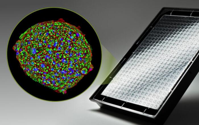 The 3D DILI Model of Success – from Biological Relevance to Industry Application