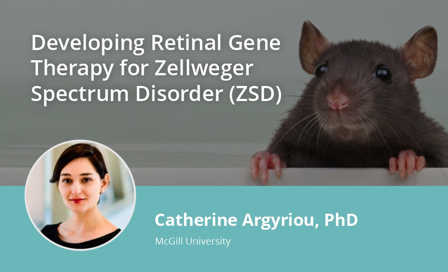 Developing Retinal Gene Therapy for Zellweger Spectrum Disorder (ZSD)