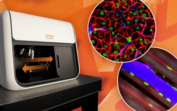 Real-time IntraVital Microscopy (IVM):  In Vivo Cellular-level Imaging of Internal Organs in a Live Animal