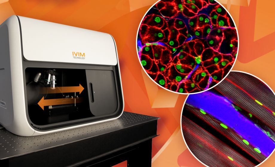 In Vivo Cellular-level Imaging of Internal Organs in a Live Animal