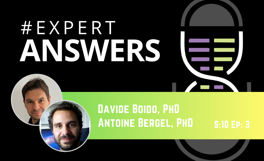 #ExpertAnswers: Davide Boido and Antoine Bergel on Multimodal Neuroimaging