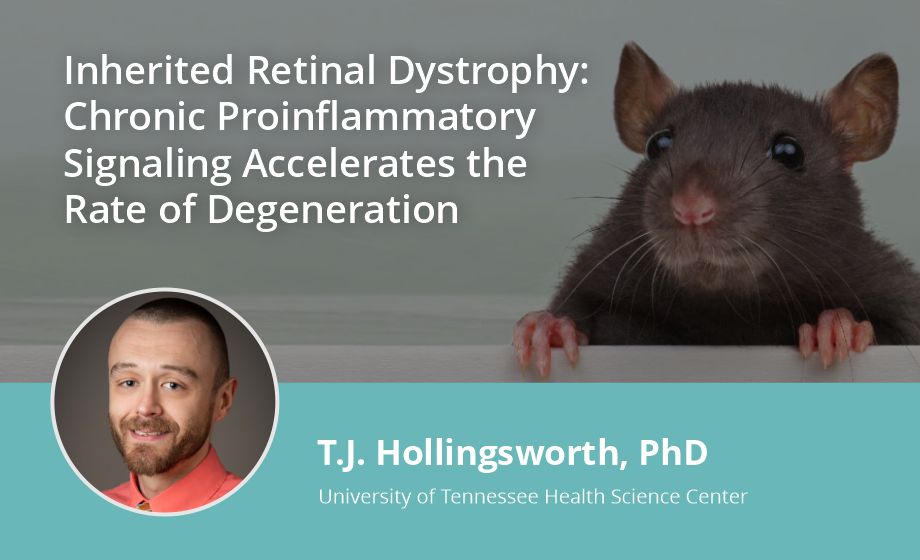 Inherited Retinal Dystrophy- Chronic Proinflammatory Signaling Accelerates the Rate of Degeneration