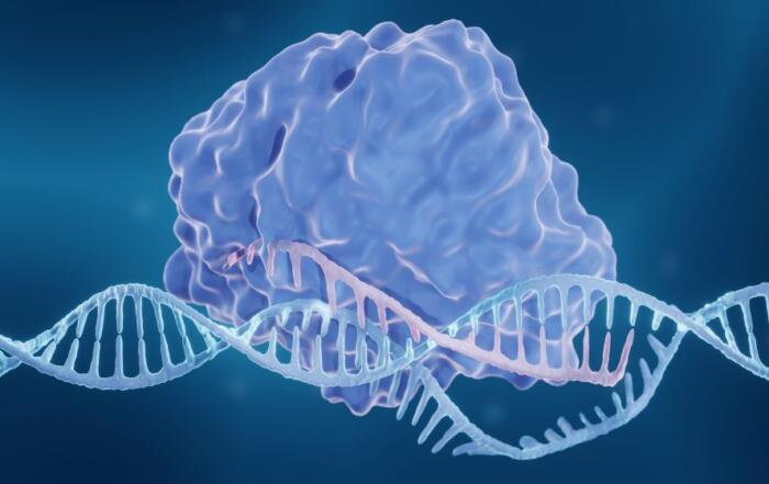 Leveraging Programmable CRISPR-Associated Transposases for Next-Generation Genome Engineering