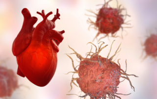 Representation of the interactions between dendritic cells and the heart.