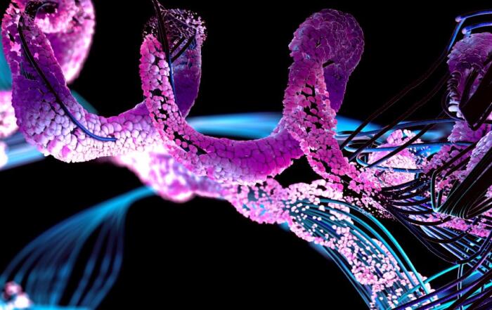 Save Time and Money When Prioritizing Drug Candidates: Using Cell-Based Reporter Assays for Nuclear Receptor Profiling