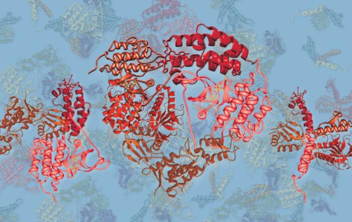 Targeting Proteomics to Decipher Biology for the Drug Development Pipeline