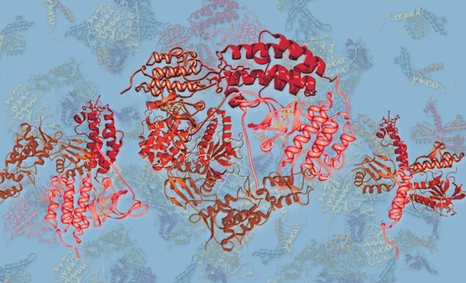 Targeting Proteomics to Decipher Biology for the Drug Development Pipeline