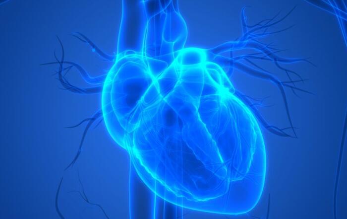 Measurement of Cardiac Function Using Pressure-Volume Loops in Swine