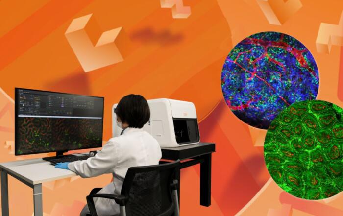 Real-time IntraVital Microscopy (IVM): In Vivo Live Cell Imaging in Immunology and Neuroscience with Live Imaging Demo