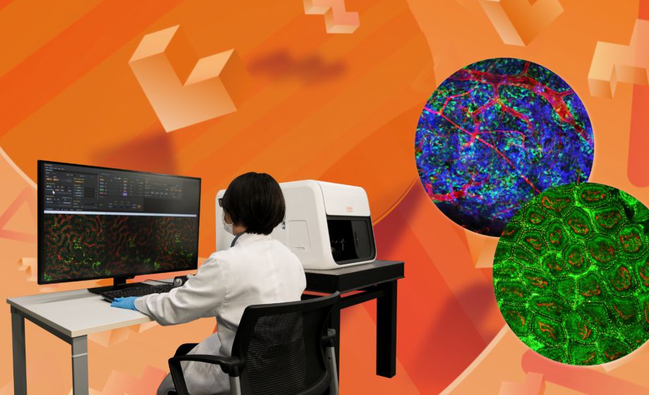 Real-time IntraVital Microscopy (IVM) - In Vivo Live Cell Imaging in Immunology and Neuroscience with Live Imaging Demo